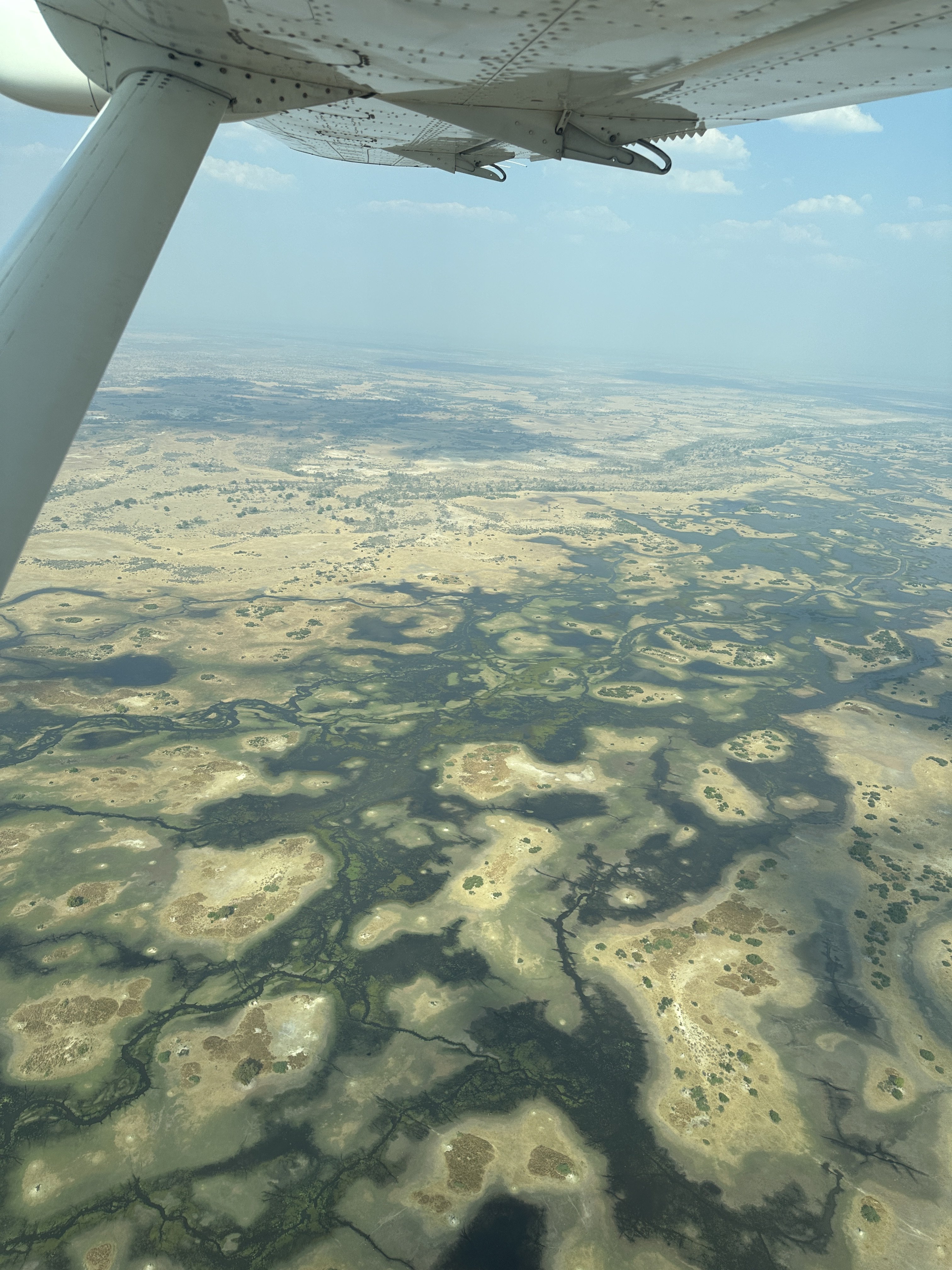 Botswana Flug-Safari mit Kindern - Botswana Rundreise mit Kindern - Ausblick aus dem Kleinflugzeug