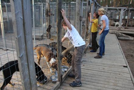 Finnland Familienreise - Finnland for family individuell - Huskys füttern und streicheln