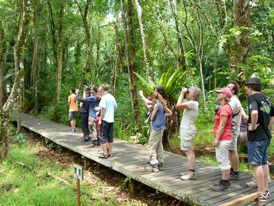 Familienurlaub Malaysia & Borneo - Malaysia & Borneo Teens on Tour - Reisegruppe im Dschungel