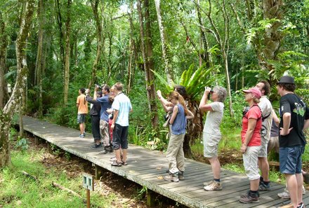 Familienurlaub Malaysia & Borneo - Malaysia & Borneo Teens on Tour - Reisegruppe im Dschungel