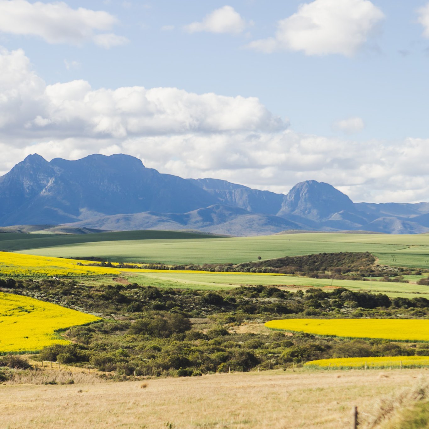 Südafrika Blog Artikel - Schöne grüne Landschaft entlang der Garden Route – Südafrika Reise mit Kindern