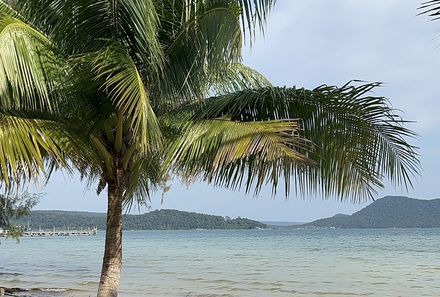 Vietnam & Kambodscha Familienreisen - Kambodscha - Koh Rong Samloem - Große Palme am Strand