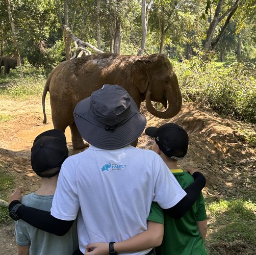 Fernreiseziele mit Kindern im Sommer - Tipps für Fernreisen im Sommer mit Kindern - Elefantenpark in Thailand