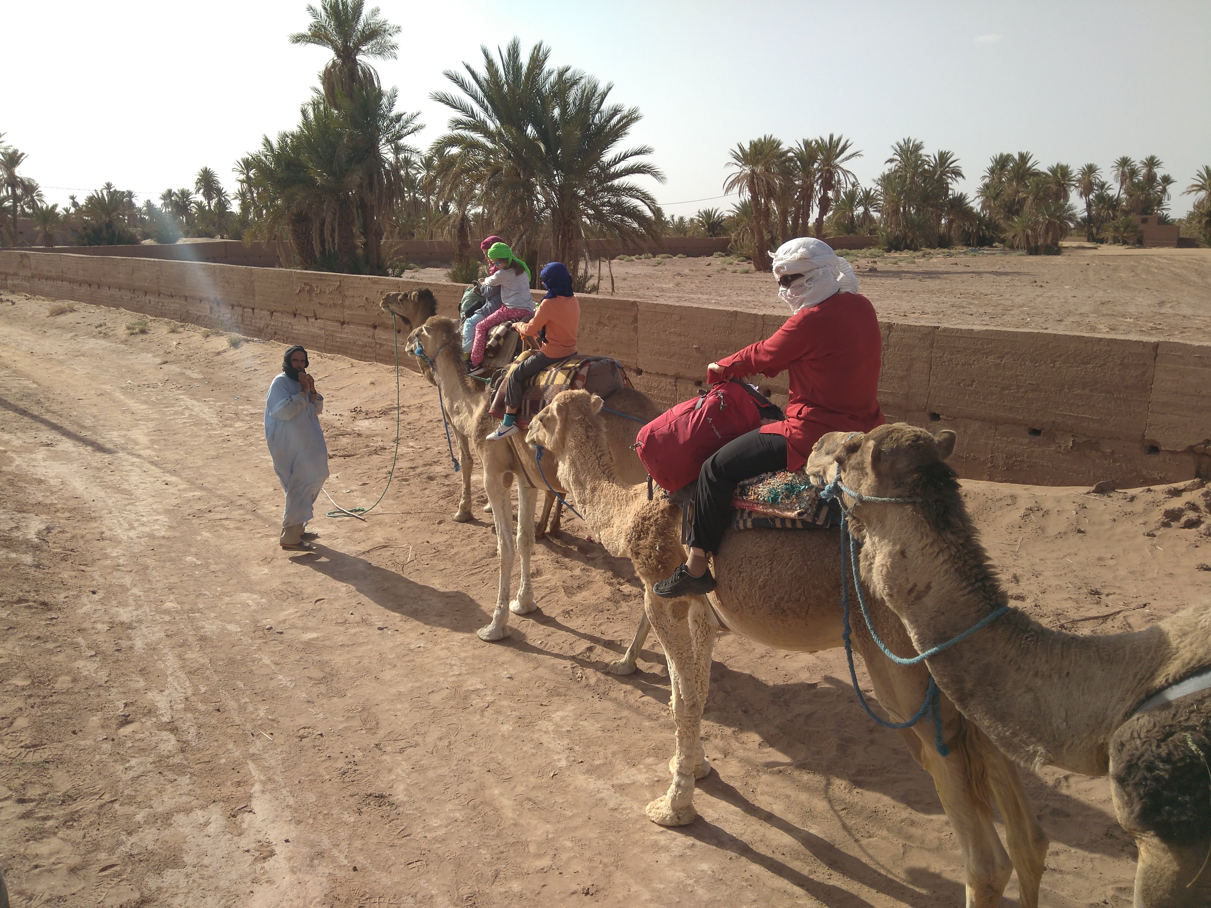 Marokko mit Kindern - Reisebericht Marokko mit Kindern - Dromedar reiten Wüste