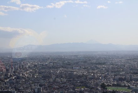 Japan for family - Tokyo - Aussicht auf die Stadt