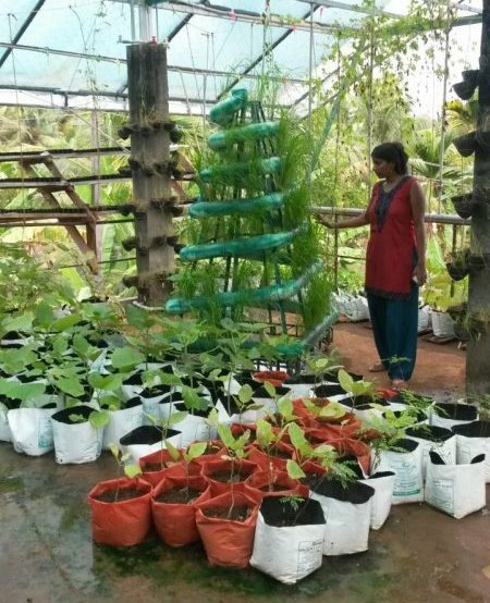 Südindien mit Kindern - Besuch im BASIS Projektdorf - Nachhaltiger Bioanbau im BASIS