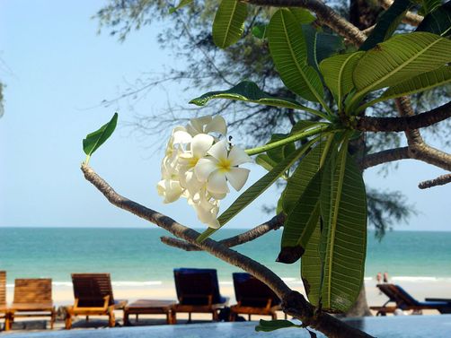 Thailand mit Teenagern - Baan Talay Dao Resort - Strand