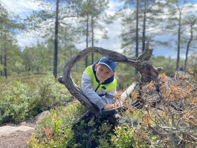 Feedback SEFFGB Sommer 2023 - Schweden for family - Kind im Wald