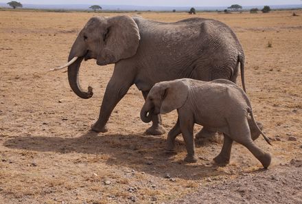 Kenia Familienreise - Kenia for family - Massai Mara
