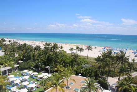 Florida Familienreise - Blick auf Palmen, Strand und Meer