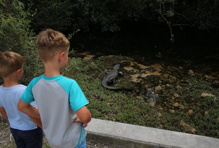 Florida Familienreise - Everglades - Kinder beobachten Krokodil