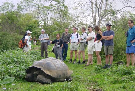 Galapagos Familienreise - Galapagos for family individuell - Schildkrötenbeobachtung