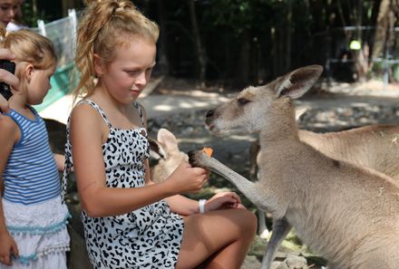  Australien for family - Australien Familienreise - Kind mit Känguru Port Douglas
