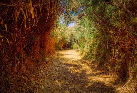 Jordanien Rundreise mit Kindern - Jordanien for family - Naturreservat