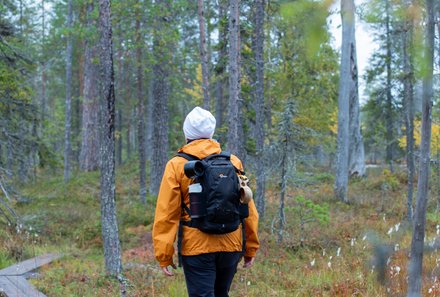 Finnland mit Kindern - Finnland Urlaub mit Kindern - Familienurlaub Finnland - Wanderung auf Plankenweg Rukakuusamo