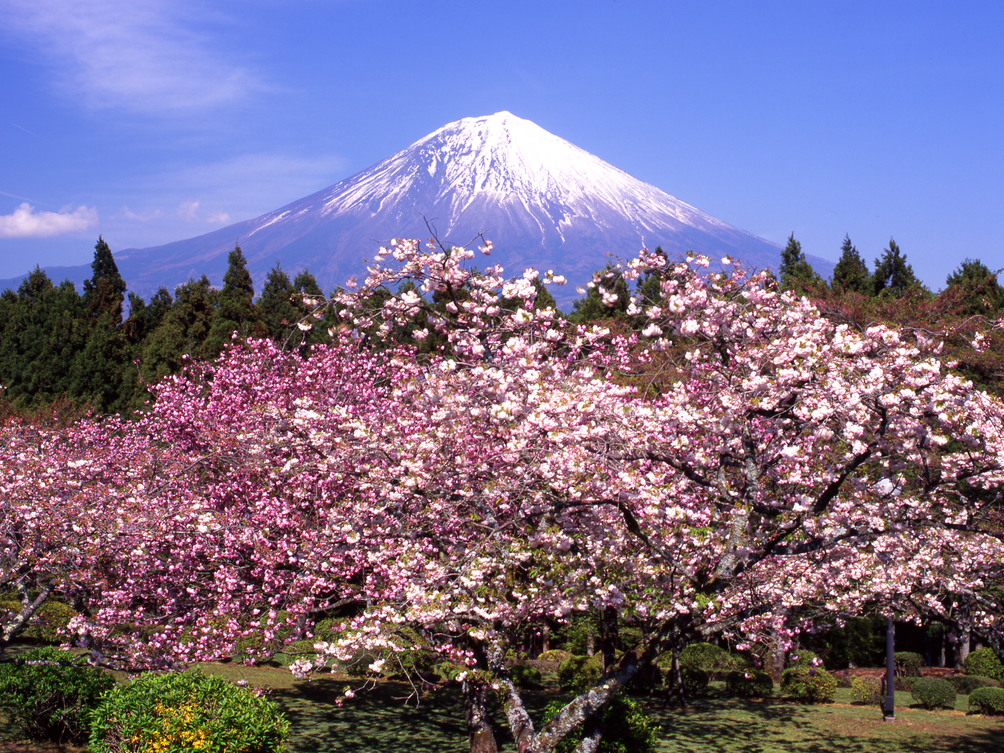 Japan mit Kindern - Japan for family - Fuji