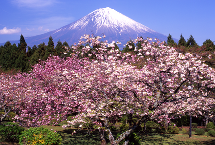 Japan mit Kindern - Japan for family - Fuji