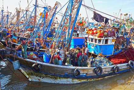 Familienurlaub Marokko - Marokko for family Summer - Fischerboote in Essaoira