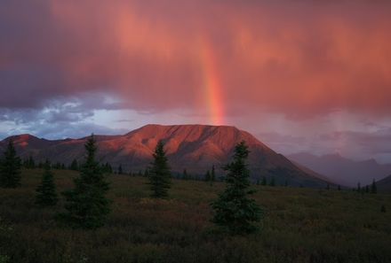 Familienreise Kanada - Kanada for family - Lichtspiele im Yukon