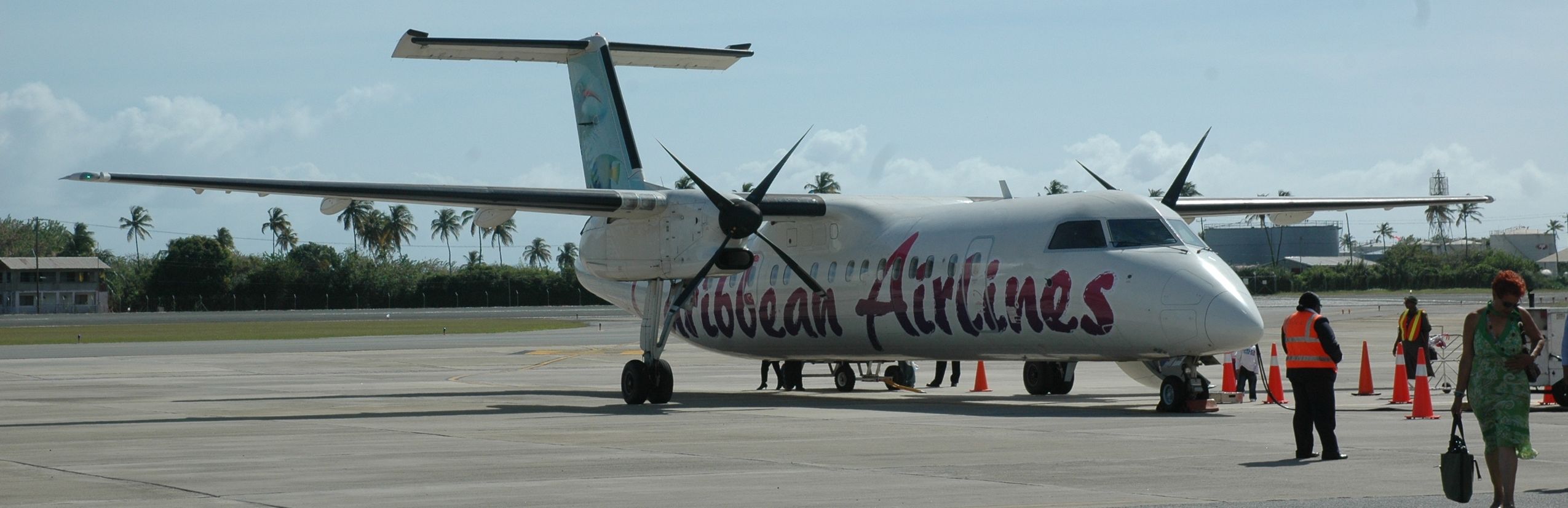 Flugreisen mit Kindern - Caribbean Airlines Flugzeug