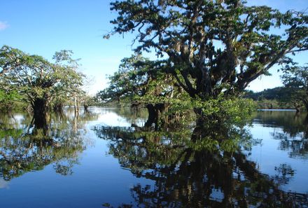 Galápagos mit Kindern - Amazonas
