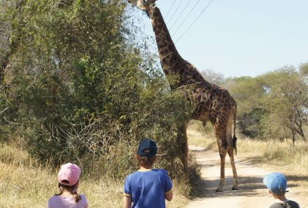 Südafrika mit Kindern - Südafrika for family individuell - Kinder und Giraffe