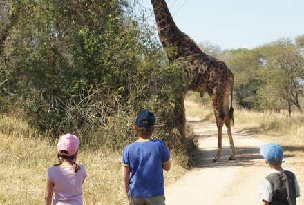Familienreise Südafrika - Giraffe hautnah