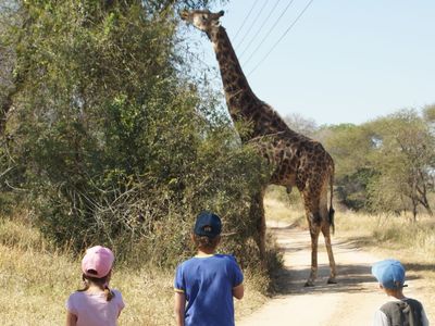 Südafrika mit Kindern - Südafrika for family individuell - Kinder und Giraffe