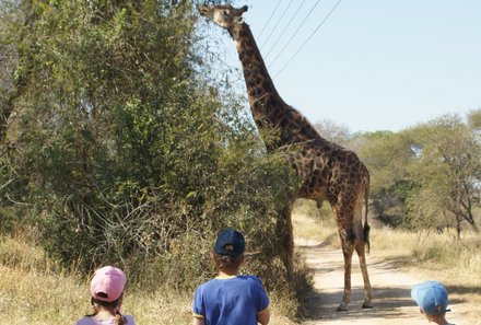 Reisebericht: Südafrika Makutsi Safari Farm - Südafrika mit Kindern - Kinder neben Giraffe