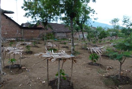 Bali mit Kindern Erfahrungen - Bali Rundreise mit Kindern - Plantage