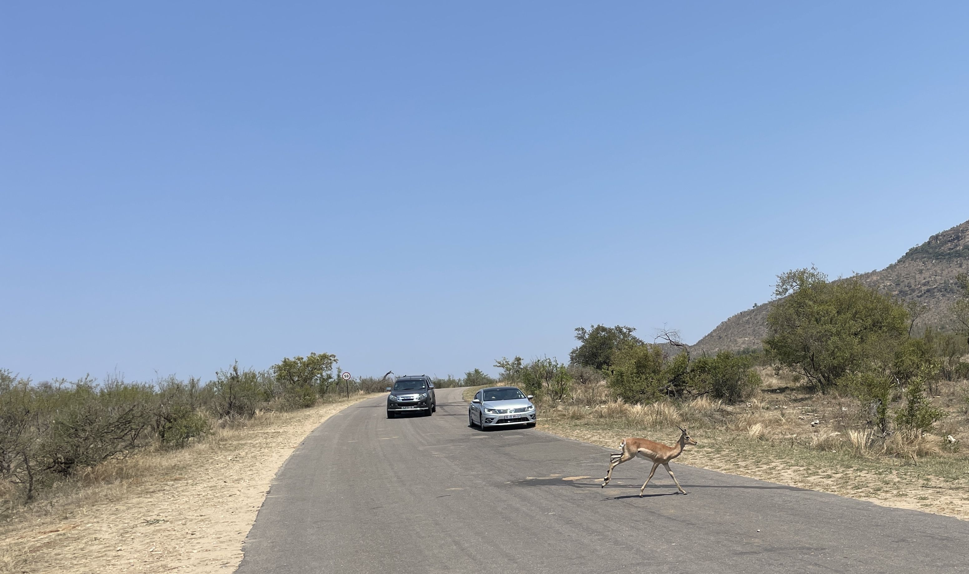 Rundreise Krüger Nationalpark mit Kindern - Fahrt zum Krüger Nationalpark im Mietwagen