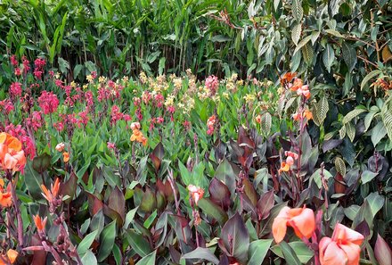Familienreise Tansania - Tansania for family individuell deluxe - Gibbs Farm Blumengarten