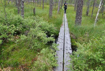 Finnland Familiyreise - Finnland Family & Teens individuell - Wandern auf Wanderweg