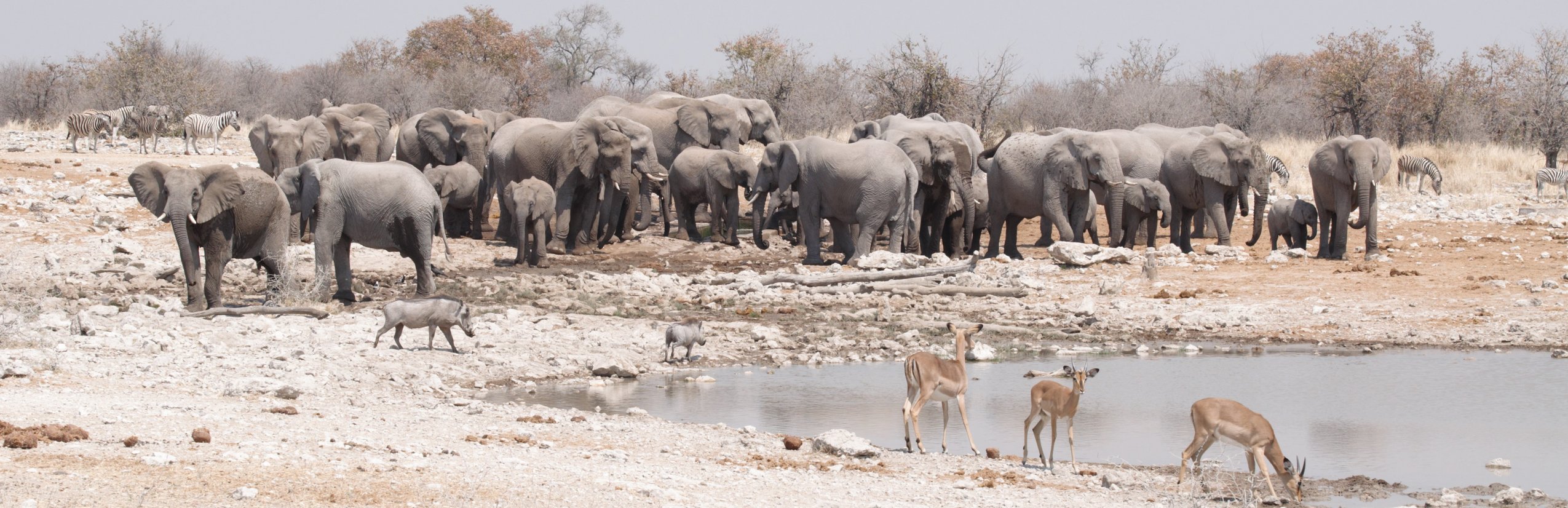 Namibia mit Kindern individuell - Namibia for family individuell Bestpreis - Wasserloch