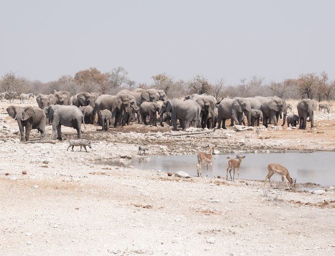 Namibia mit Kindern individuell - Namibia for family individuell Bestpreis - Wasserloch