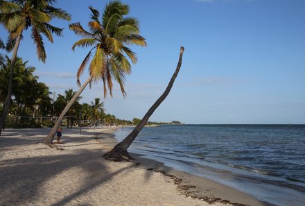 Florida Rundreise mit Kindern - Florida for family individuell - Palmenstrand in Key West