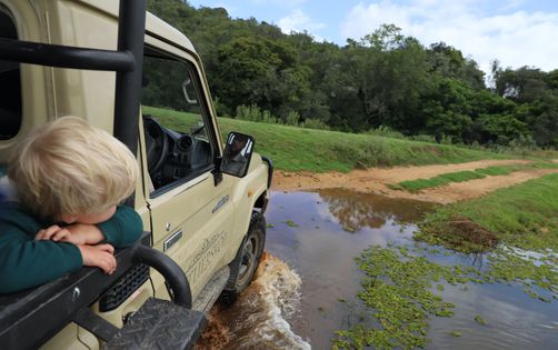 Astrid Därr - Journalistin - Garden Route - Kind - Safari