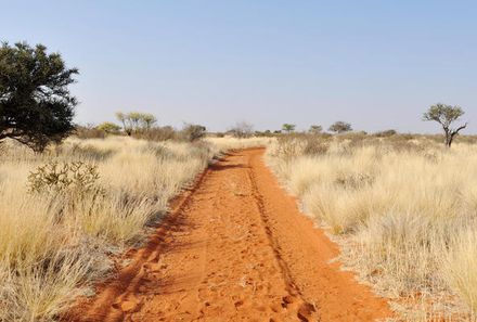 Botswana Familienreise - Botswana for family individuell - Kalahari Straße