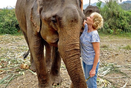 Laos und Vietnam Familienreise - Laos und Vietnam Reise mit Kindern - Elefant in Luang Prabang