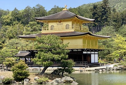Japan for family - Kyoto - Goldener Tempel mit Landschaft