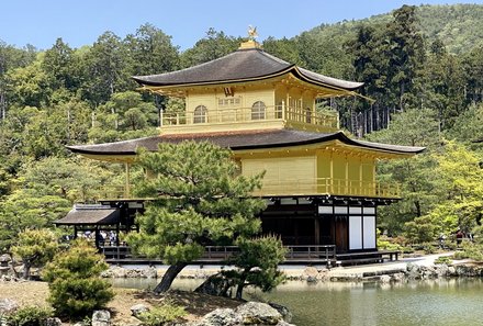 Japan for family individuell - Kyoto - Goldener Tempel mit Landschaft