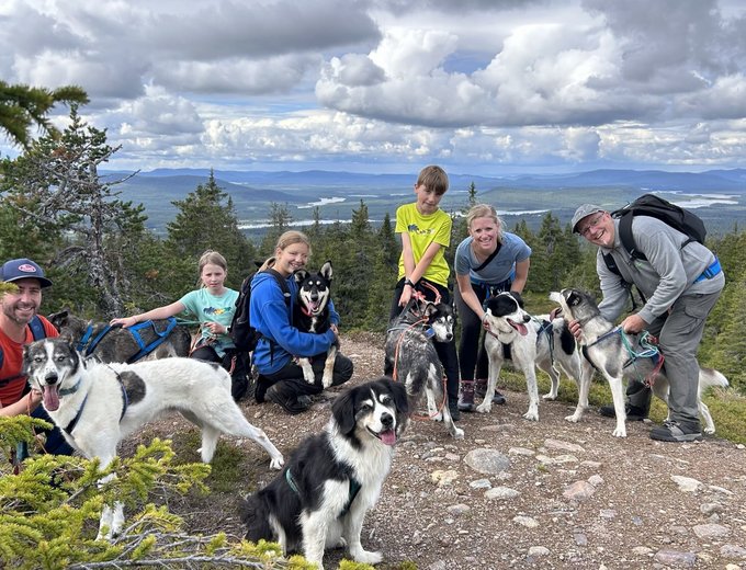 Schweden for family - Wildact Adventure -  Husky-Trekking