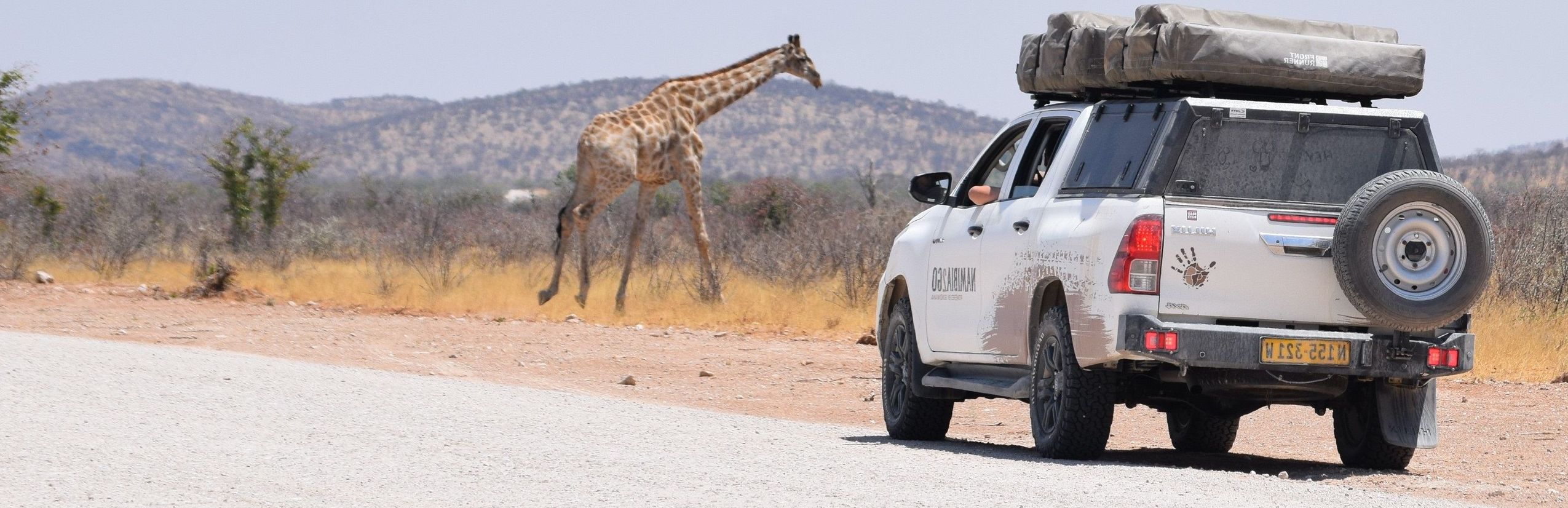 Namibia individuell im Dachzelt - 4x4 Mietwagen - Giraffe