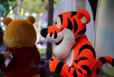 Florida Familienreise - Florida for family - Orlando Disney World - Nahaufnahme Tiger