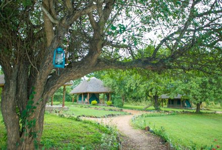 Uganda Familienreise - Uganda Family & Teens - Fort Murchison Lodge - Zelt Anlage grün