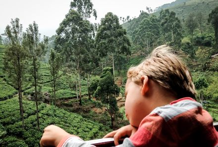 Familienreise - Zugfahrt durch die Teeberge Sri Lanka mit Kindern