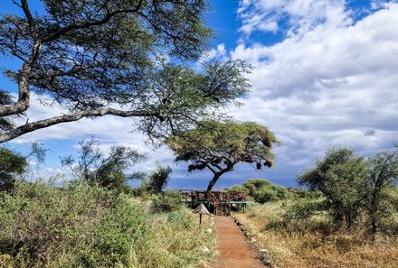 Kenia Familienreise - Kenia Family & Teens - Amboseli Nationalpark - Sentrim Camp - Weg zum Viewpoint