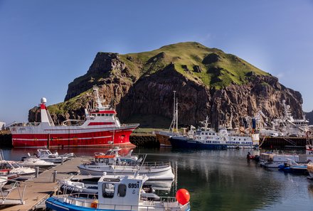Island Familienreise - Island for family - Hafen von Heimaey