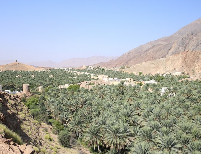 Oman mit Kindern individuell - Oman for family individuell Familienabenteuer Wüste & Berge - Blick auf Oasen im Oman