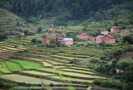 Madagaskar Familienreise - Madagaskar Family & Teens - Blick auf Reisterrasse in Fianarantsoa